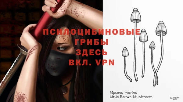 первитин Бугульма