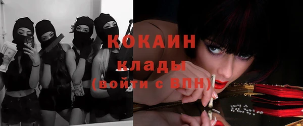 гидропоника Бородино