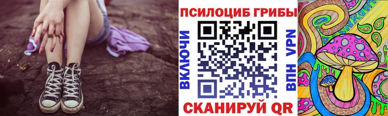 kraken ссылки  цена   Бийск  Псилоцибиновые грибы Psilocybine cubensis 